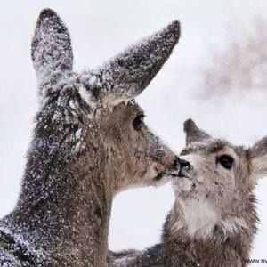 Meet your Posher, Michele harding