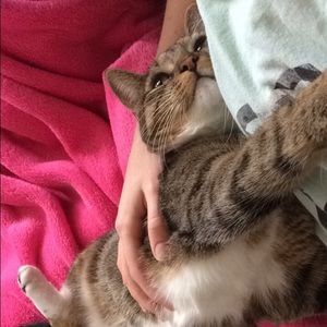 Meet your Posher, Hunter