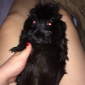 Meet your Posher, Jake