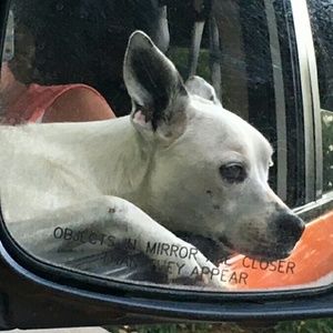 Meet your Posher, Anne