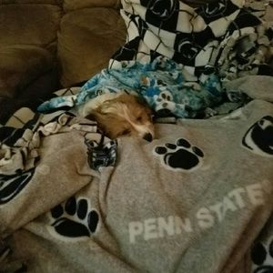 Meet your Posher, Madisyn