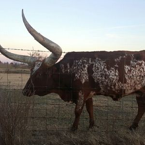 Meet your Posher, Mandi