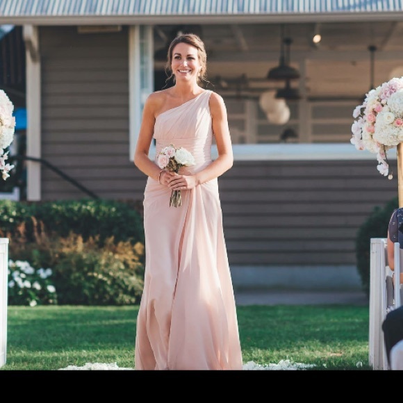 Sorella Vita Dress in Blush