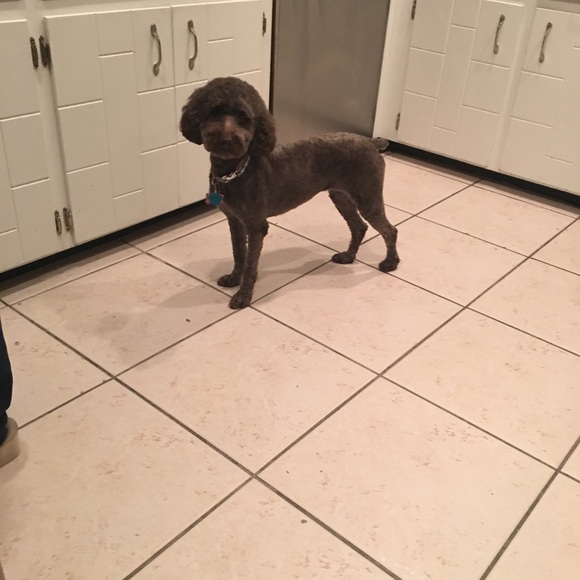 Meet your Posher, Kelly