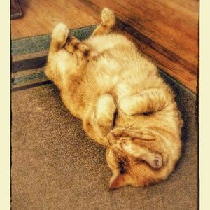 Meet your Posher, David