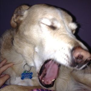 Meet your Posher, Kaitlyn