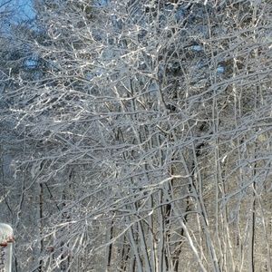 Meet your Posher, Tabitha