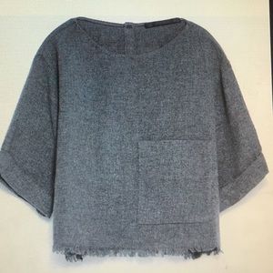 Zara Frayed Crop Top