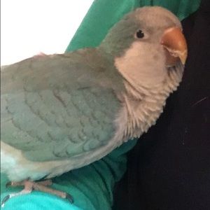 Meet your Posher, Tania