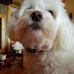 Meet your Posher, Cathy