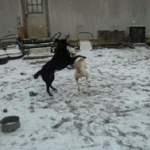 Meet your Posher, Karla