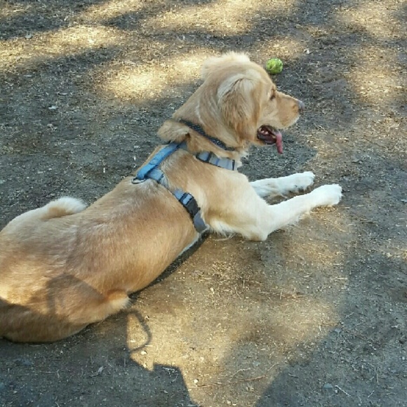 Meet your Posher, Celeste