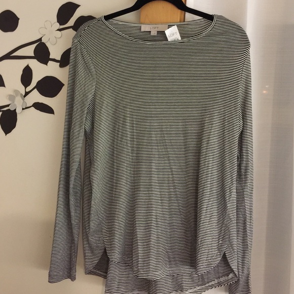 Stripe seamed Shirtail Tee•LOFT NWT