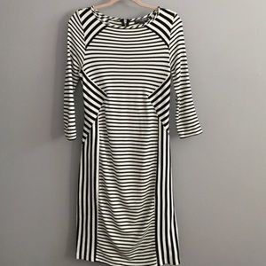 Pea in a pod maternity dress