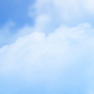 Meet your Posher, Faith