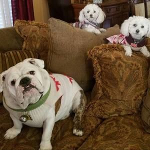 Meet your Posher, Elvira