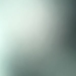 Meet your Posher, Dillon