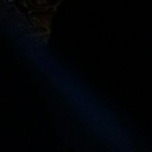 Meet your Posher, Ivery