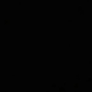 Meet your Posher, Bryan