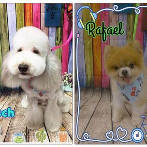 Meet your Posher, Russell