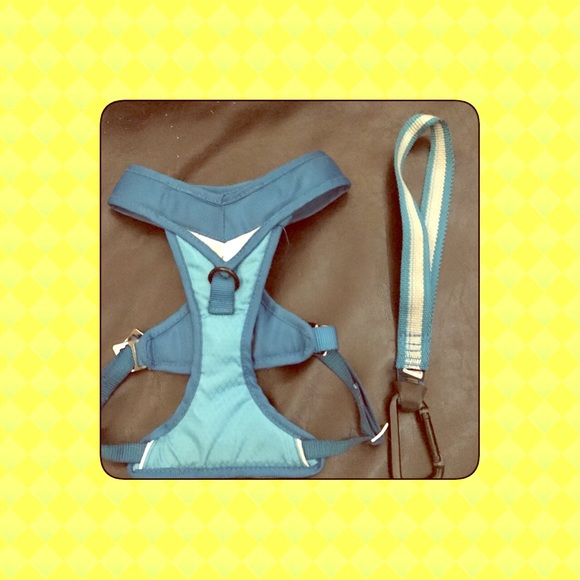 Dog harness