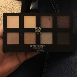 The body shop "down to earth" eye palette
