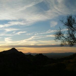 Meet your Posher, Irene