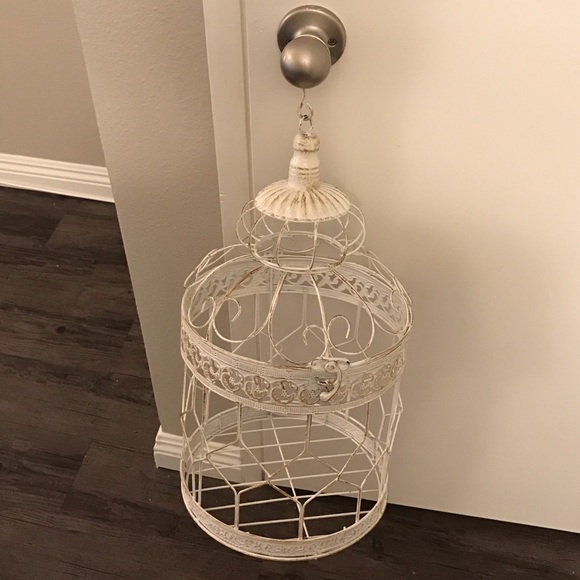 Birdcage - Picture 4 of 4