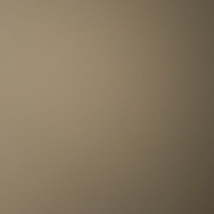 Meet your Posher, Max