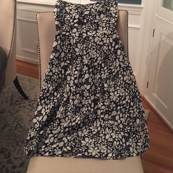 JCrew navy and white dress.