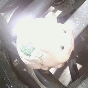 Meet your Posher, Kat