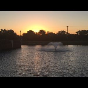 Meet your Posher, Dawn