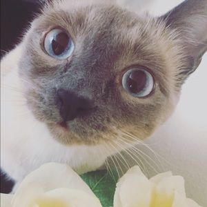 Meet your Posher, Breanna