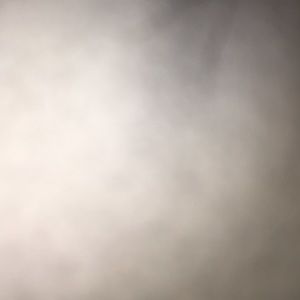 Meet your Posher, Jodie