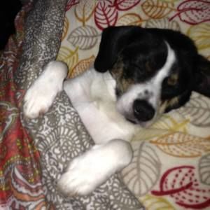 Meet your Posher, Lucia