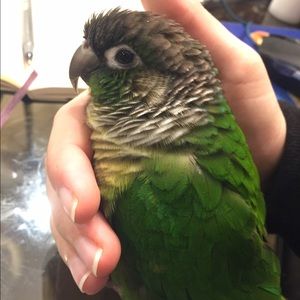 Meet your Posher, Rachael