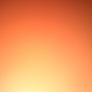 Meet your Posher, Reuben