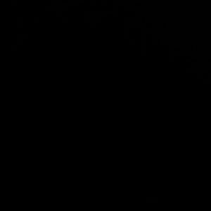 Meet your Posher, Claudia