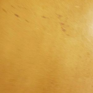 Meet your Posher, Mireya