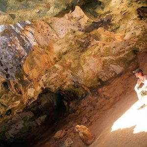 Meet your Posher, Derek