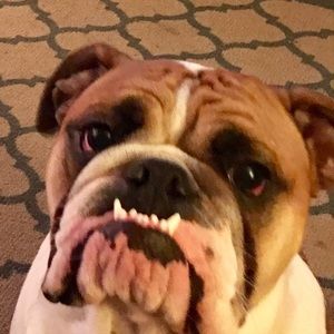 Meet your Posher, Erica