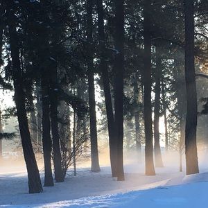 Meet your Posher, Cammy