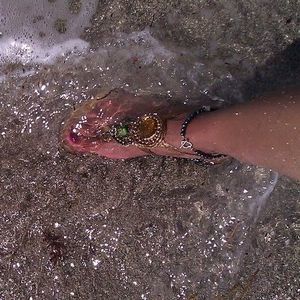 Meet your Posher, Dee