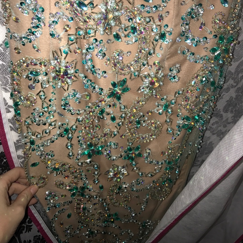 Pageant/Prom Dress - Picture 5 of 5