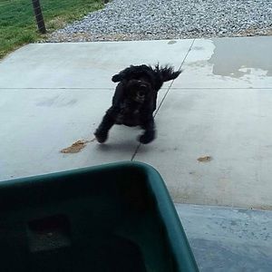 Meet your Posher, Brian