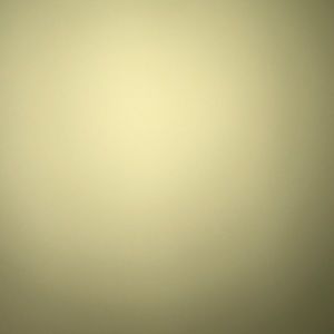 Meet your Posher, Elisa