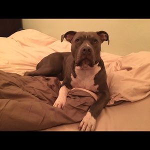 Meet your Posher, Meagan