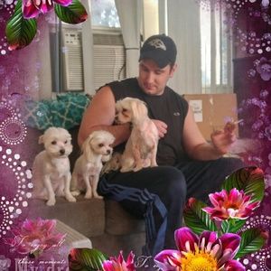 Meet your Posher, Rose