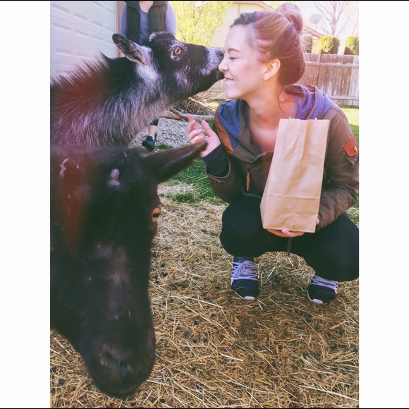 Meet your Posher, Jayke - Picture 3 of 4