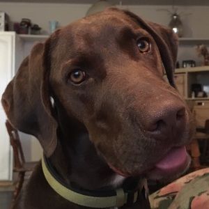 Meet your Posher, Kim